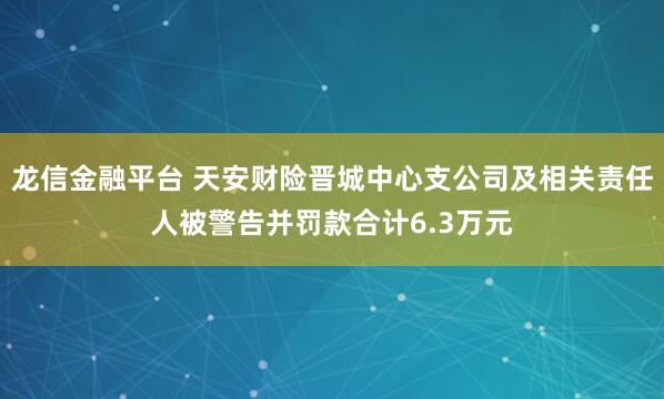 龙信金融平台 天安财险晋城中心支公司及相关责任人被警告并罚款合计6.3万元