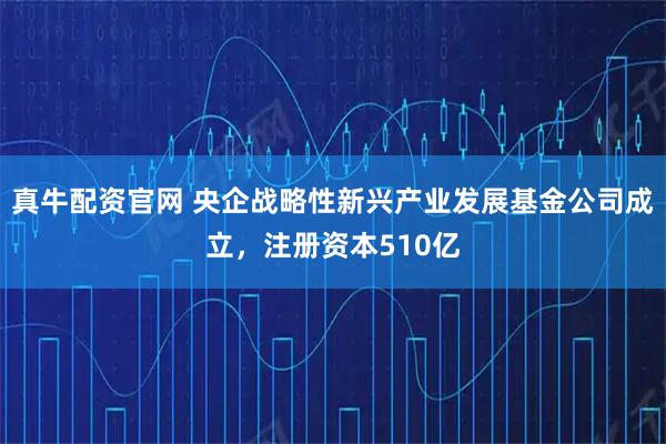 真牛配资官网 央企战略性新兴产业发展基金公司成立，注册资本510亿
