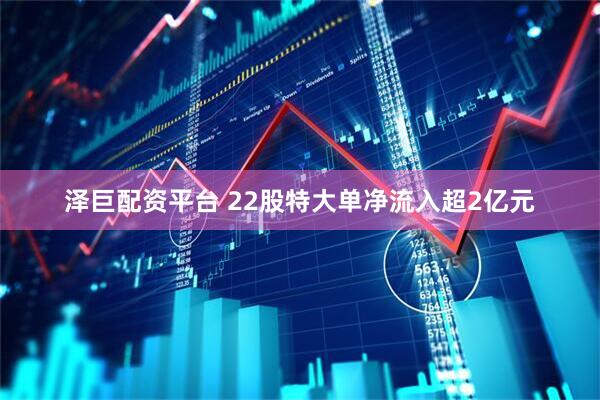 泽巨配资平台 22股特大单净流入超2亿元