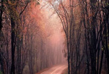 股票配资怎么操作的:炒股怎么杠杆-A股突发异动！超4000股下跌 原因找到了！